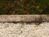 image of grave number 808886